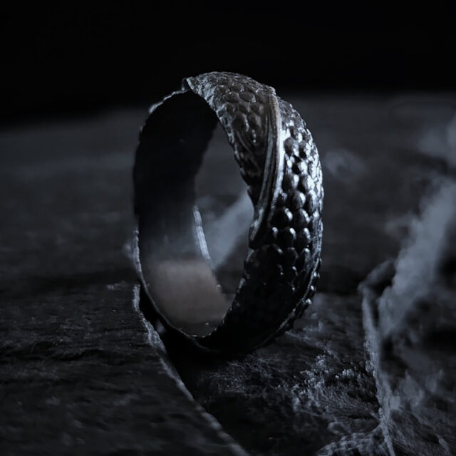 Anillo Scalaria